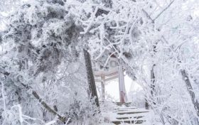 賞雪時(shí)節(jié)已至，漢江源邀您感受白色浪漫！縮略圖