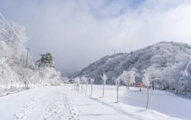天冷了，吃點(diǎn)啥有助抗寒？縮略圖