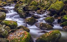 冬日快來佛坪，體驗(yàn)零霧霾小城大口呼吸的暢快！縮略圖