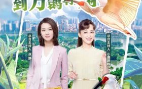 從瀕臨滅絕到種群壯大，朱鹮保護(hù)是怎樣創(chuàng)造奇跡的？縮略圖