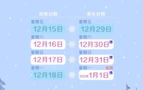 元旦假期首日火車票今天開搶，第三方平臺預(yù)約訂單量增近2倍縮略圖