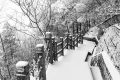 冷?冷?冷?，最低零下 6 ℃ ，漢臺(tái)迎來新一輪降溫降雪，詳情→縮略圖