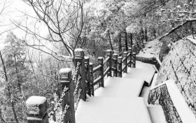 冷?冷?冷?，最低零下 6 ℃ ，漢臺迎來新一輪降溫降雪，詳情→縮略圖