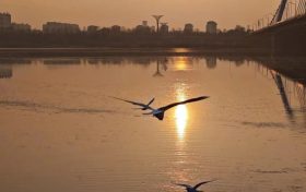 興元路修建完成，公交集團24路公交線路恢復(fù)運營縮略圖