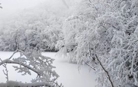 局地積雪可達(dá)10cm！冰雪路面如何安全行車？縮略圖