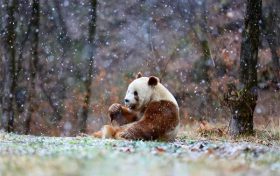 漢中2條線路入選全國(guó)精品！縮略圖