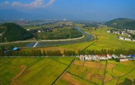 陜西省濕地保護(hù)成效顯著 彩鹮、桃花水母在陜均有發(fā)現(xiàn)縮略圖