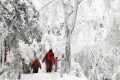 【鬧元宵·賞雪景】一起去漢江源看雪吧！縮略圖