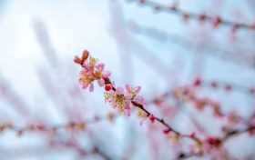 來(lái)興漢勝境，一起喚醒春天的美好縮略圖