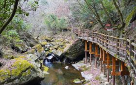 好消息！漢臺一景區(qū)恢復開園，3月8日女士免費→縮略圖