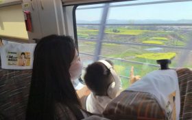 坐著高鐵穿花海！這趟列車太“治愈”了！縮略圖