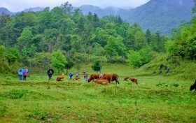 世外桃源！來邂逅鎮(zhèn)巴的阿勒泰縮略圖