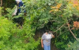行人為走捷徑欲橫穿高速，漢中高速交警及時(shí)勸離縮略圖