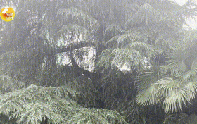 未來三天，陜西有強降水天氣過程，局地短時暴雨，具體預(yù)報→縮略圖