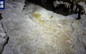 國內(nèi)罕見！陜西漢中發(fā)現(xiàn)完整度較高的大熊貓化石縮略圖