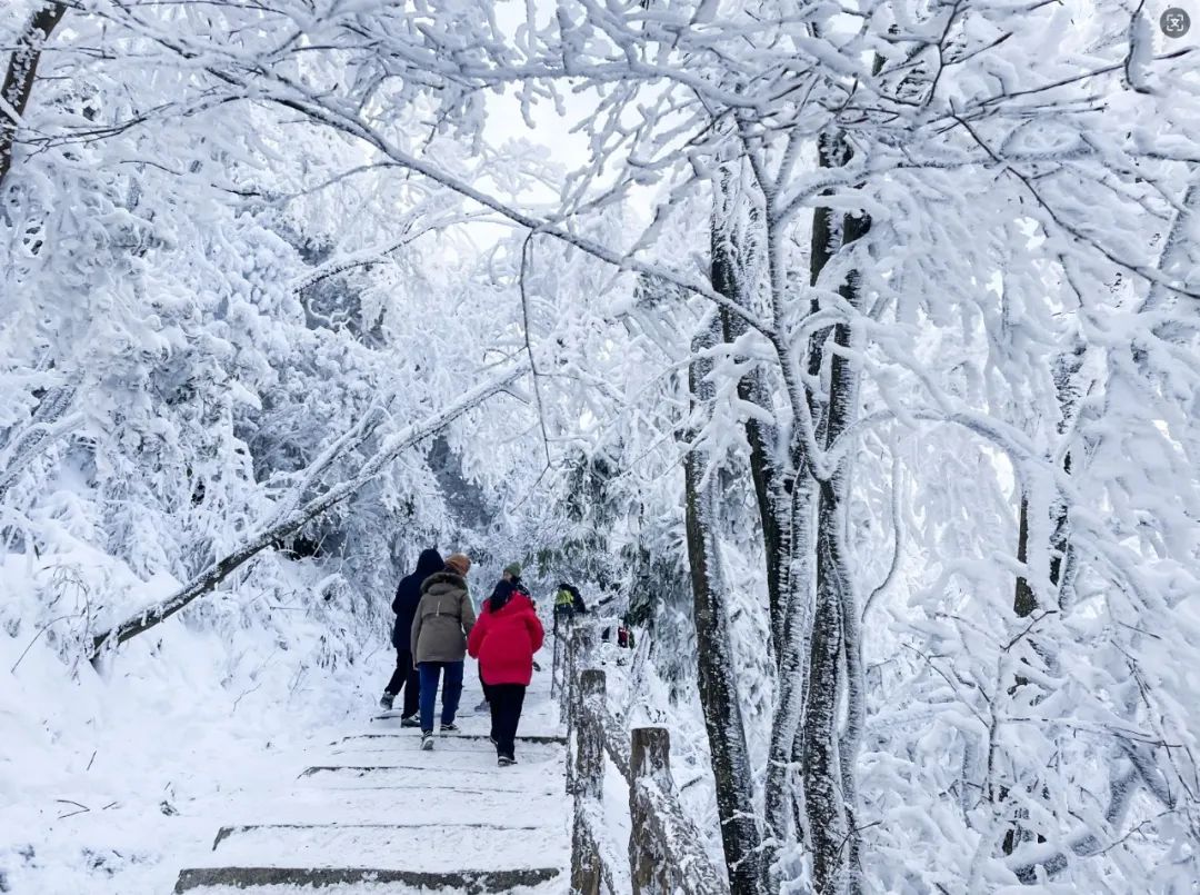 2024漢江源冰雪旅游季抖音大賽等你來挑戰(zhàn)！