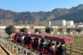 開門紅！全縣首輛！鱘游佛坪“熊貓?zhí)枴毙』疖囌竭\(yùn)行→縮略圖