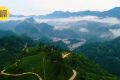 鎮(zhèn)巴楮溪源：山川之美創(chuàng)4A，茶旅融合新畫卷縮略圖