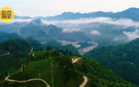 鎮(zhèn)巴楮溪源：山川之美創(chuàng)4A，茶旅融合新畫卷縮略圖
