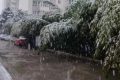 明顯降溫！陜西新一波雨雪即將到來縮略圖