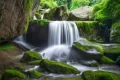 尋夢油菜花海，探秘漢江之源：三天兩晚奇遇之旅縮略圖