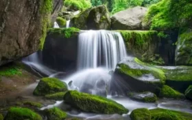 尋夢油菜花海，探秘漢江之源：三天兩晚奇遇之旅縮略圖