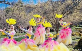 3月22日，王家灣村，茱萸花海踏春游活動來啦！縮略圖