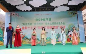 明天漢中佛坪王家灣村，茱萸花海踏春游開啟！縮略圖