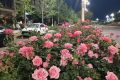陜西發(fā)布消費提示！警惕“零團費”等不合理低價產品縮略圖