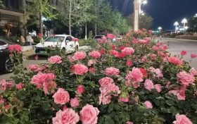 陜西發(fā)布消費提示！警惕“零團費”等不合理低價產(chǎn)品縮略圖