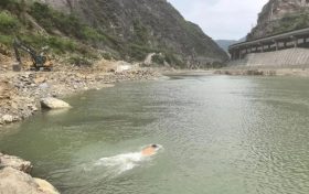 縱身激流顯擔(dān)當(dāng)！略陽公安民警以身為舟托起生命希望縮略圖