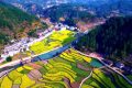 鎮(zhèn)巴簡(jiǎn)池鎮(zhèn)李塘村：春日河畔花海，宛如水墨仙境縮略圖
