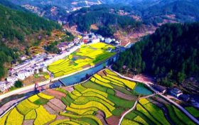鎮(zhèn)巴簡池鎮(zhèn)李塘村：春日河畔花海，宛如水墨仙境縮略圖