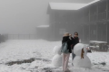 陜西寶雞太白山迎降雪，陜西氣象發(fā)布最新天氣公報→縮略圖