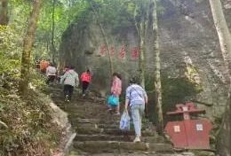 夏探漢江源：石頭會(huì)“變身”，山林有奇趣！縮略圖