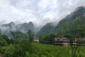 橘子吃多了為什么會變成“小黃人”？縮略圖