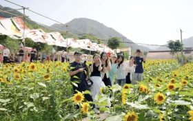 “鄉(xiāng)”聚力量·“創(chuàng)”新未來丨來留壩，給旅行加點(diǎn)“文化”料縮略圖