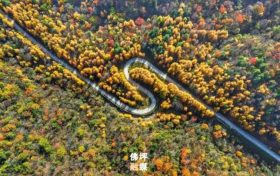 秋滿佛坪，風光正好！踏入這抹絢爛秋色里，邂逅只屬于你的心動時刻！縮略圖
