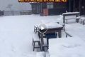 陜西一地又又又下雪了！最新氣象快報→縮略圖
