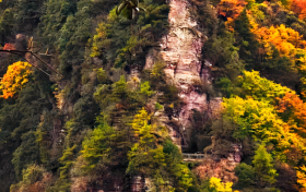 九月九，登九鼎！草川子的秋日盛宴已開(kāi)席縮略圖