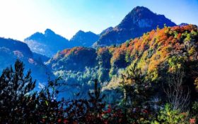 草川子生態(tài)康養(yǎng)旅游度假區(qū)今日恢復(fù)開(kāi)園，正常接待游客縮略圖