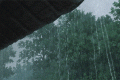 新一輪降雨，上線！縮略圖
