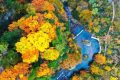 2025漢中黎坪紅葉季10月15日盛大啟幕！18日、19日免門(mén)票！縮略圖