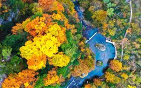 2025漢中黎坪紅葉季10月15日盛大啟幕！18日、19日免門票！縮略圖