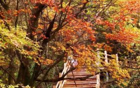 不等了！這個(gè)秋天，我就要去草川子~縮略圖